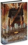 The Mortal Instruments Book #3