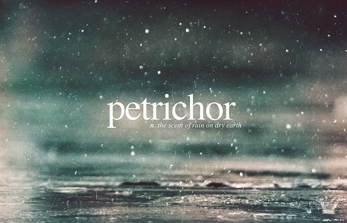 petrichor