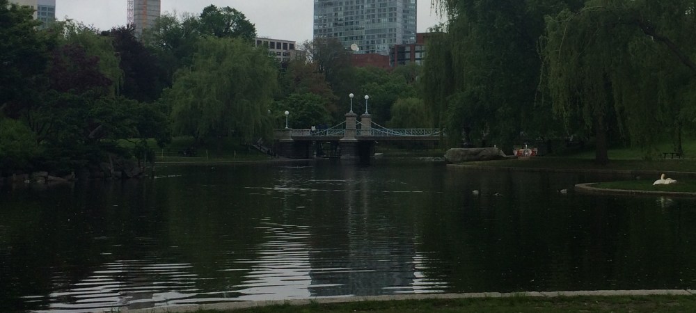 Boston, MA World's Smallest Suspension Bridge